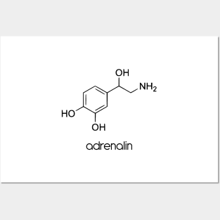 Adrenalin Chemical Molecule Formula Posters and Art